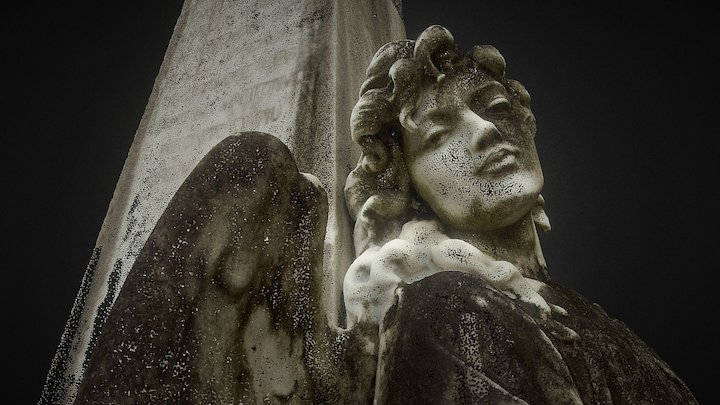 Angel Look Back - Point Cloud 3D Model