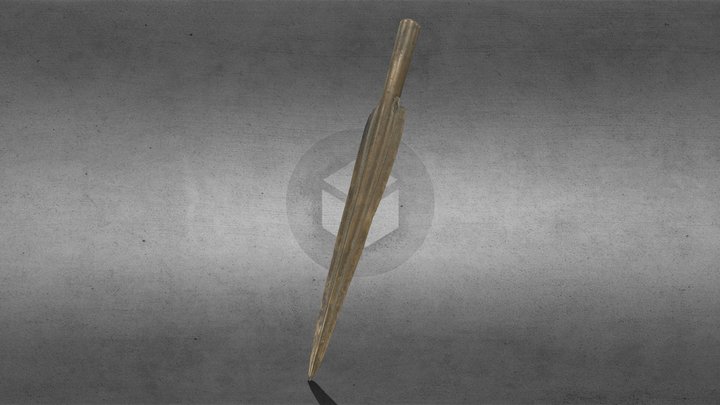 Large spearhead from the River Trent 3D Model
