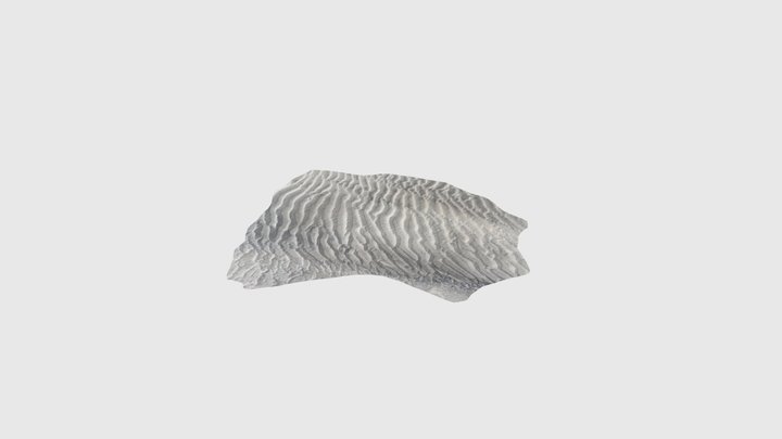 Wind ripples 2 3D Model