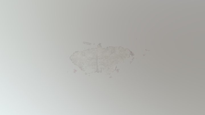 Moth pointcloud 3D Model