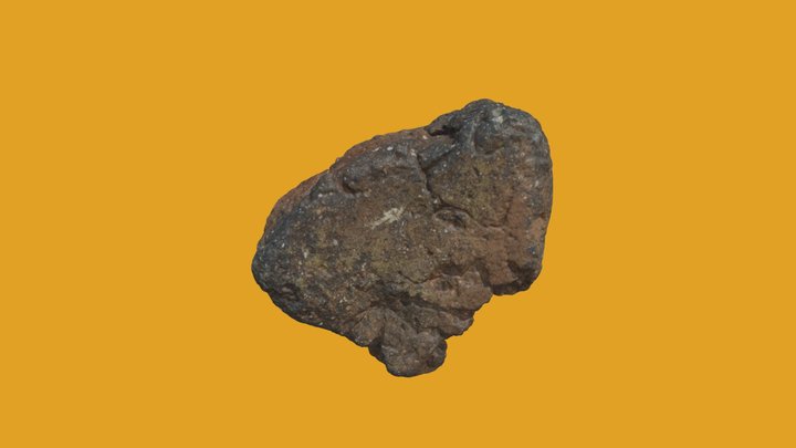 F00091 3D Model