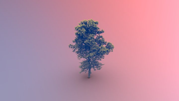 Tree 3 TLS practical 3D Model