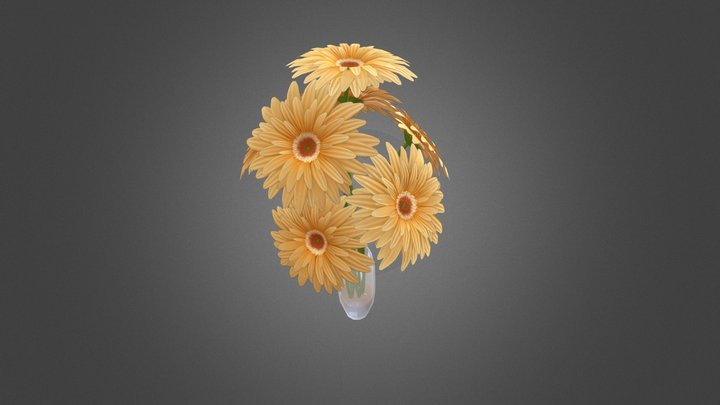 Garbera Flower 3D Model