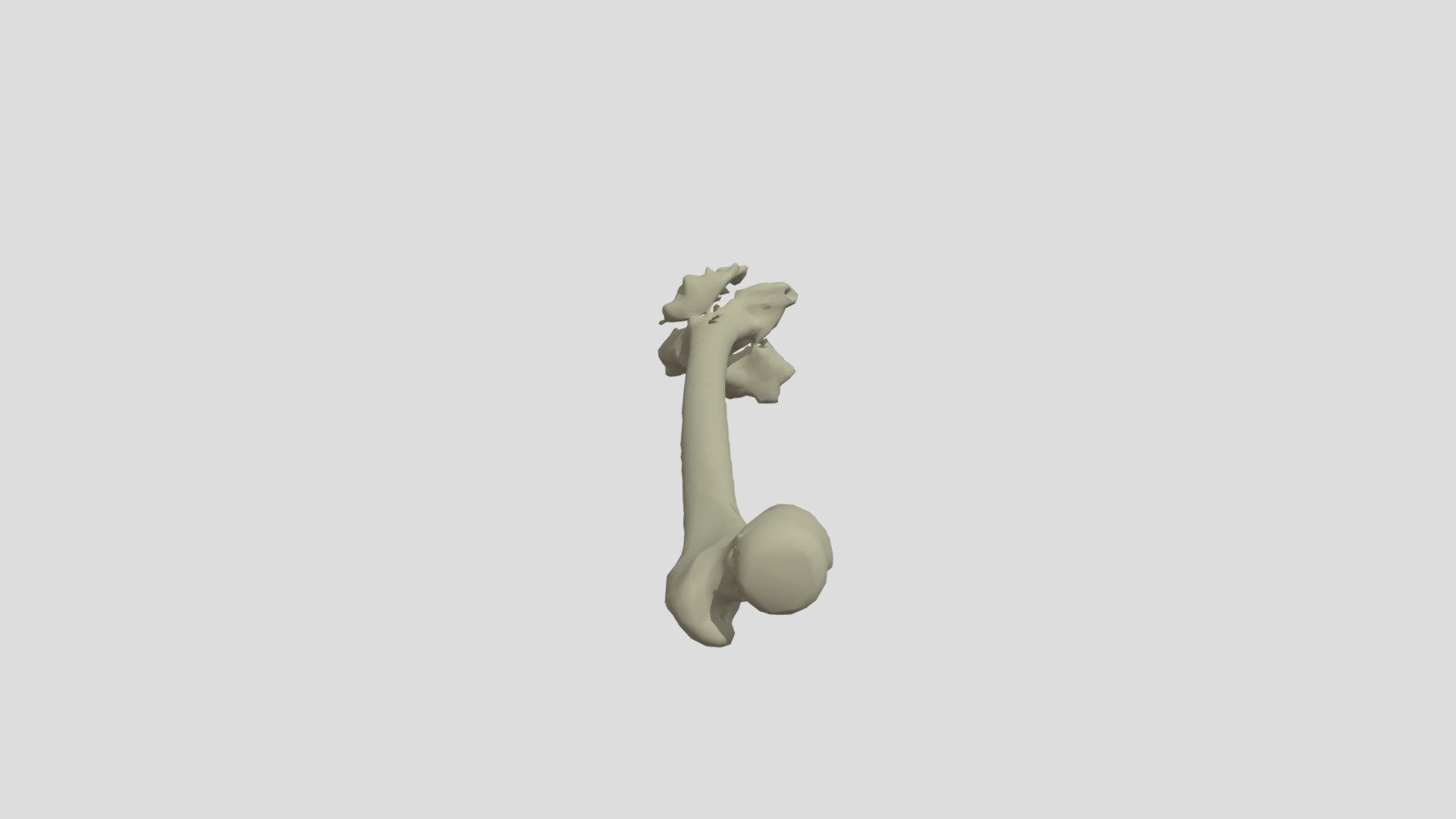 Femur L