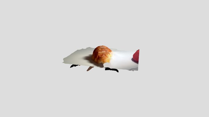 first attempt croissant 3D Model
