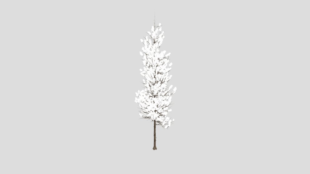 Pine Tree
