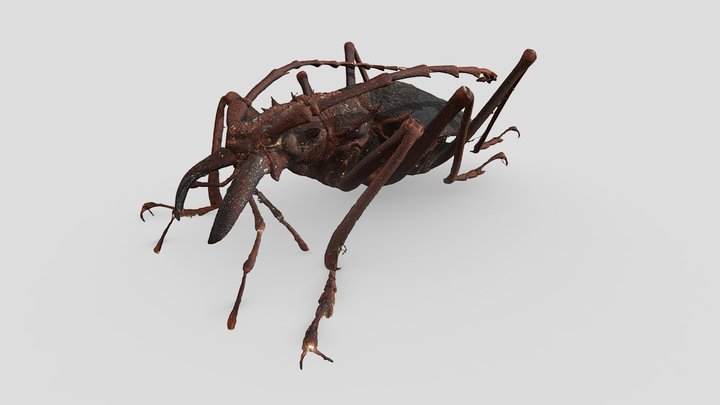 Psalidognathus friendii – Modèle 3D gratuit STL