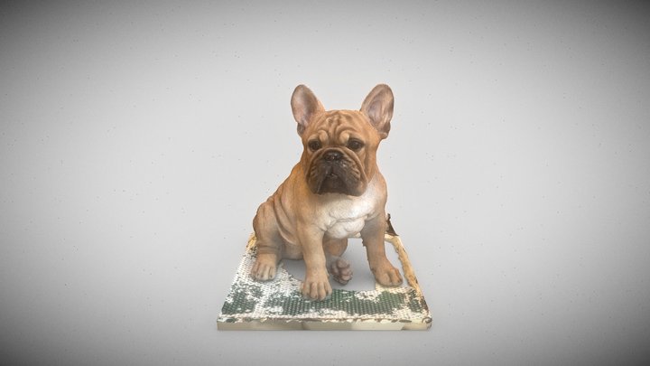 Buldog 3D Model