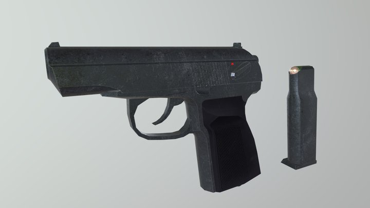 Pmm 3D Model