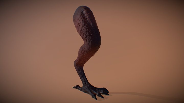 Dragon Leg (High Poly) 3D Model