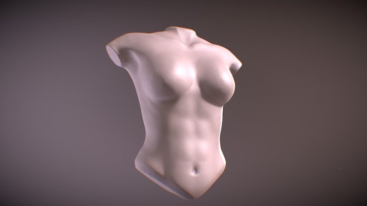 Sculpt January Day 29 - Female Torso 3D Model