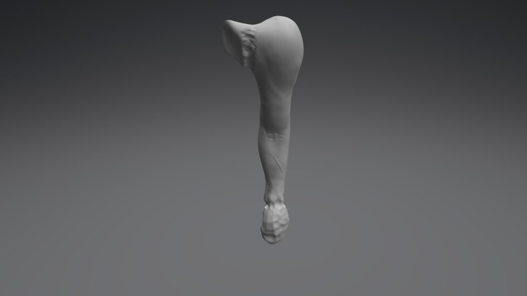 My Left Arm - 3D model by heldeg [78c83a3] - Sketchfab