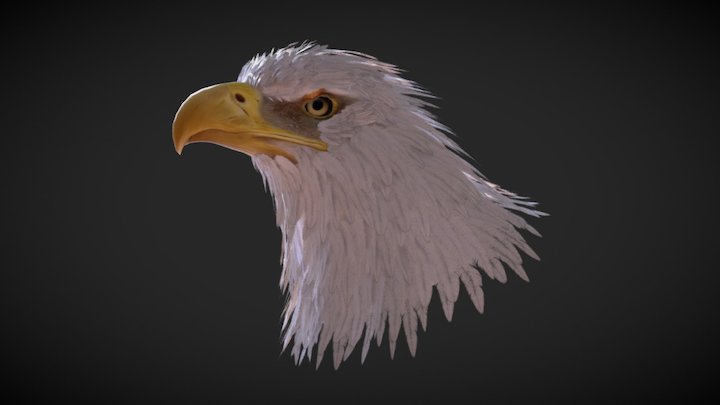 Eagle Bust 3D Model