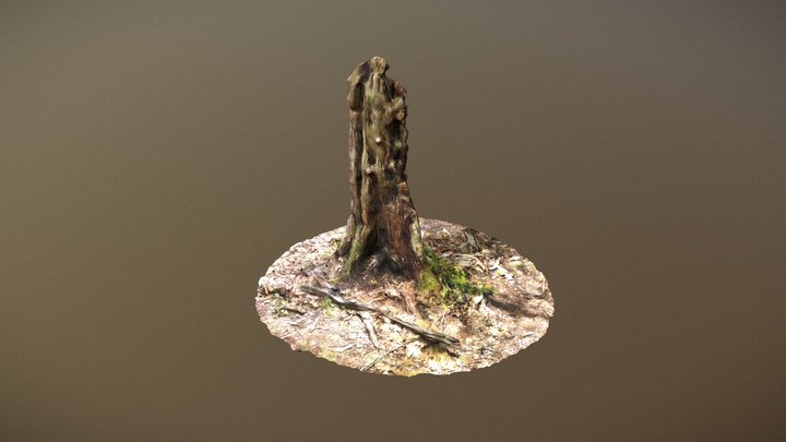 Tree Stump 1 3D Model