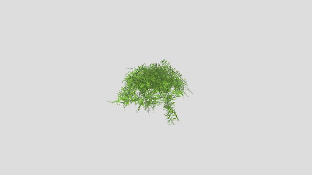 Wall Hanging Boston Fern Decor