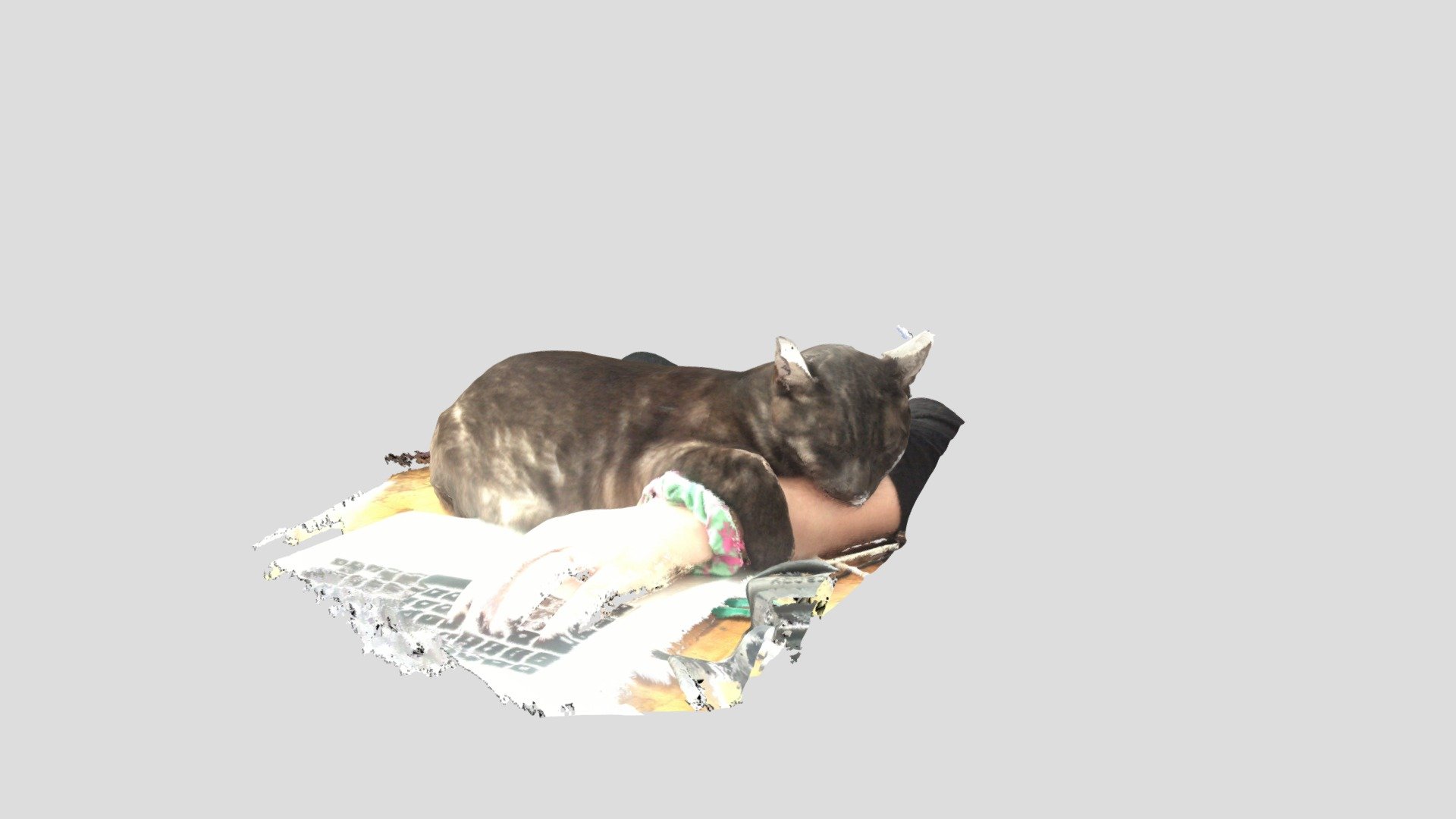 Sleepy Kitty