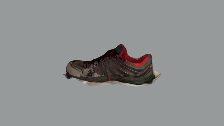 Trainer 3D Model