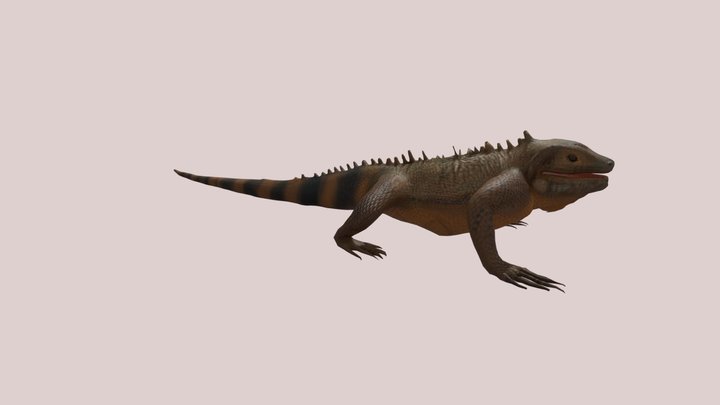 Iguana 3D Model