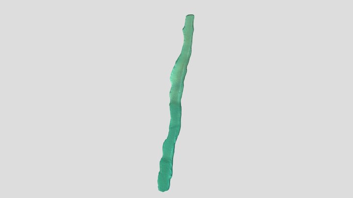 2022 11 12 Pikkala Bridge Transect240 2 Netta 3D Model