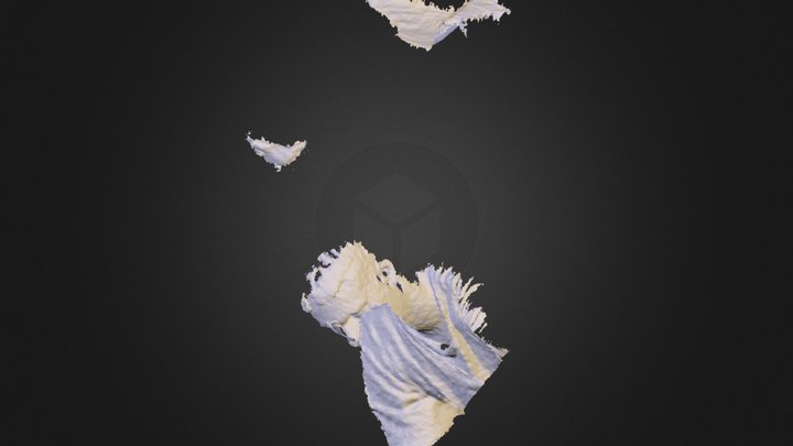 eumesmo2.obj 3D Model