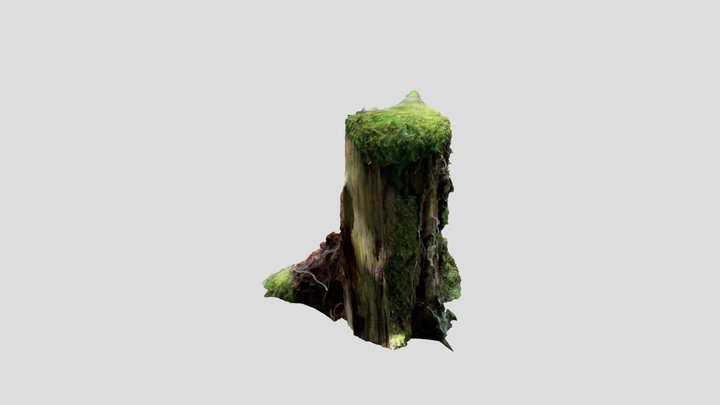 Beautiful Tree Stump 3D Model