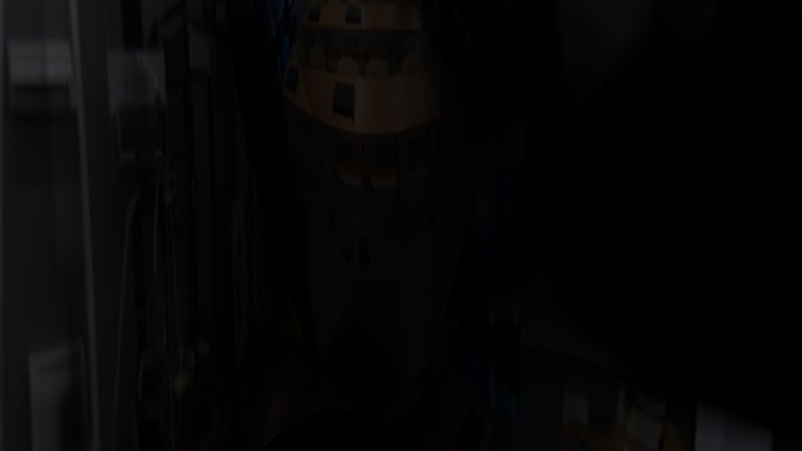 New project 987 (not T posing flower) 3D Model