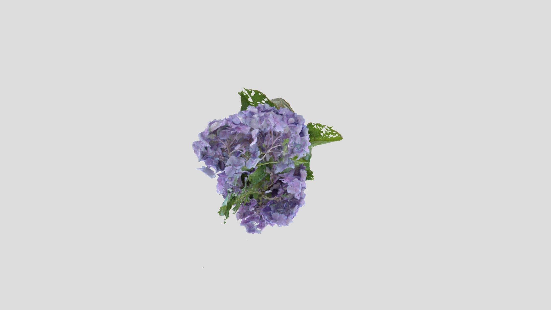 Florero 2