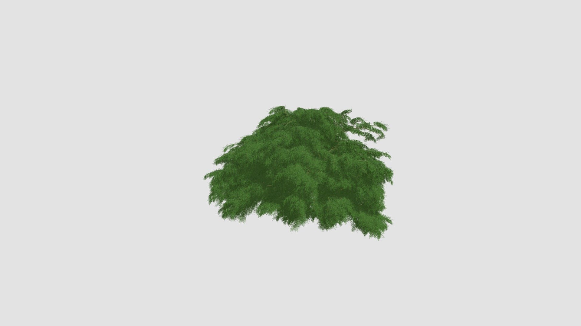 Plant for c4d — Sketchfab embed 3D viewer