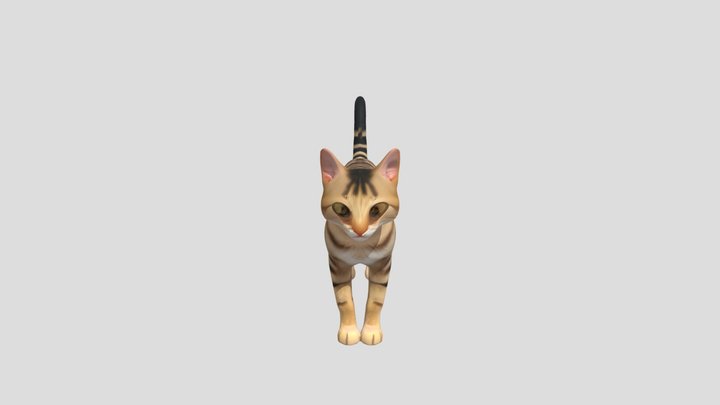 striped domestic cat 3D Model