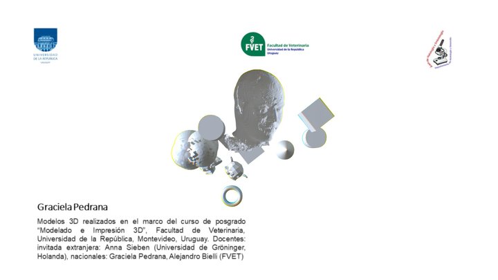Tomografia-para-sketchfab- 3D Model
