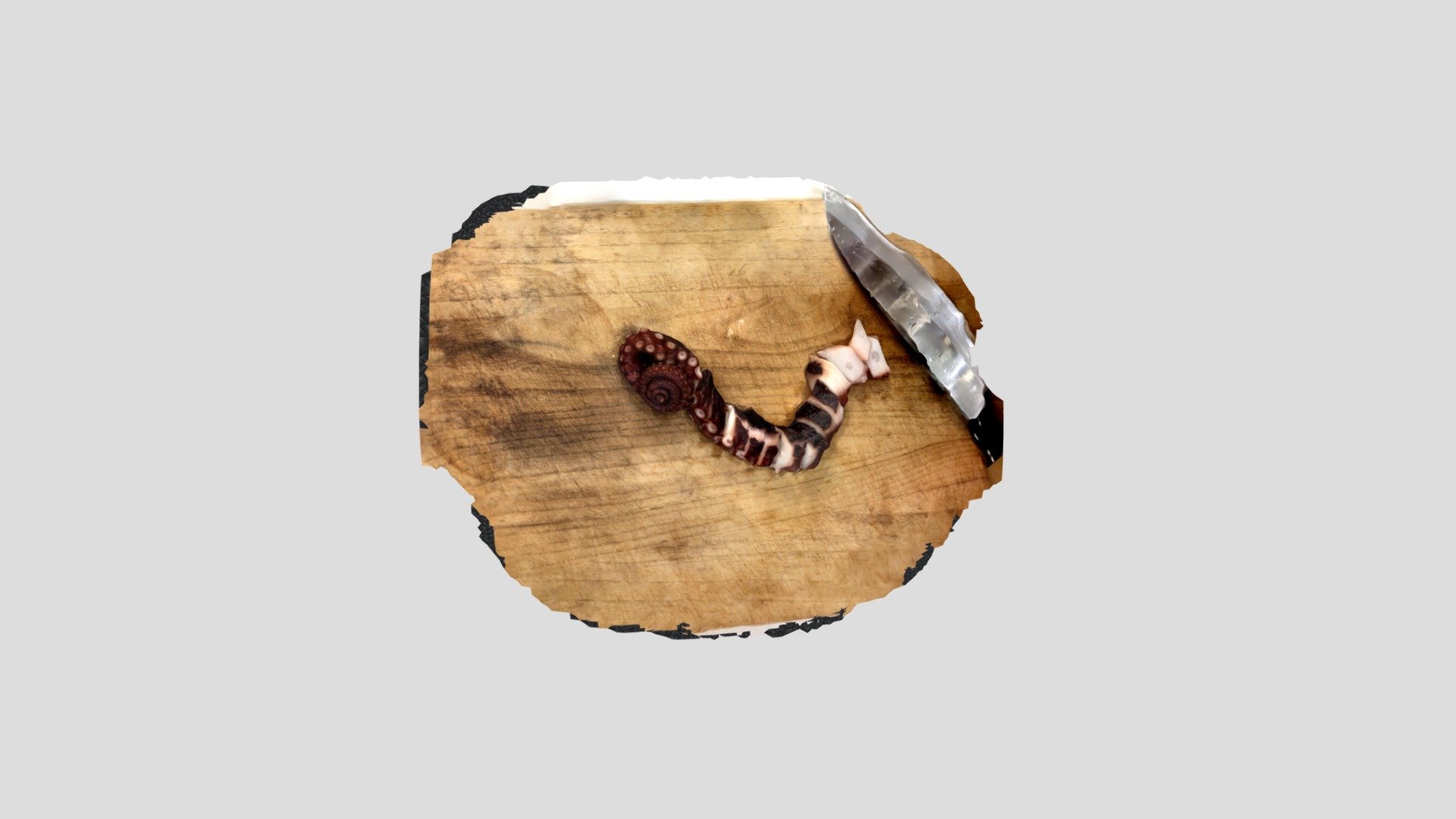Common Octopus fillet for sashimi 4