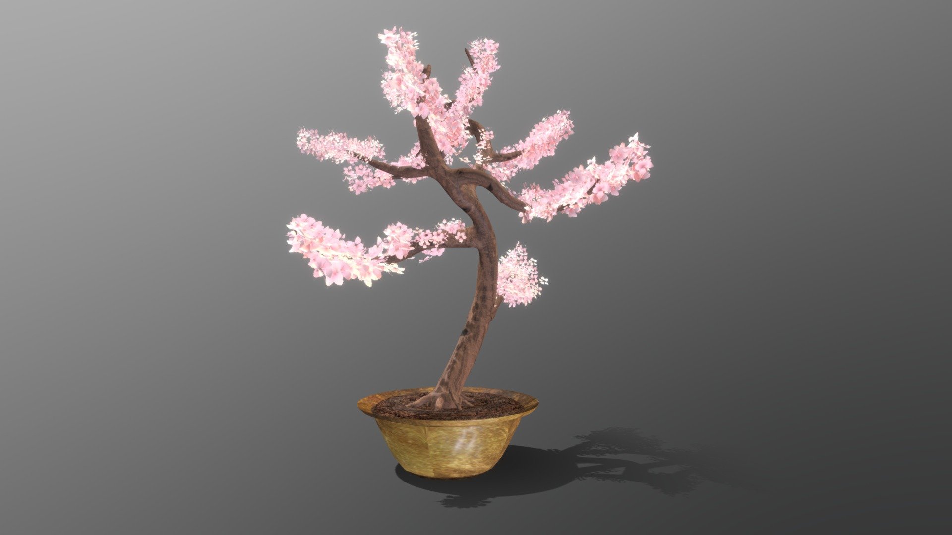 Sakura bonsai tree 3d model Buy Download 3dbrute