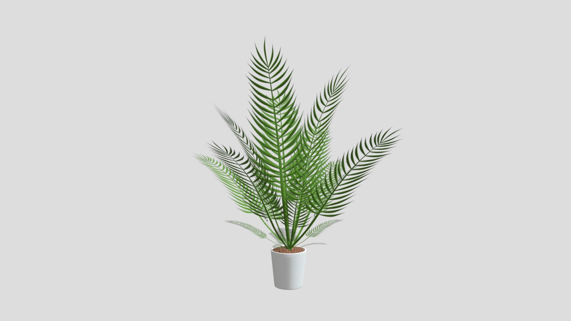 Palm Plant - Buy Royalty Free 3D model by Ed+ (@EDplus) [78f809d ...