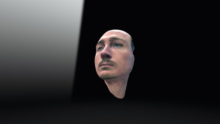 self portrait 3D Model
