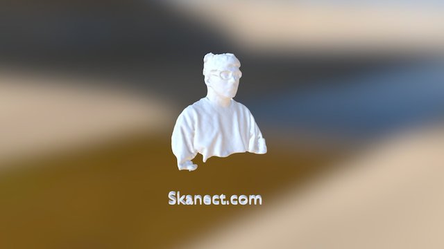 Skanect Test 3D Model
