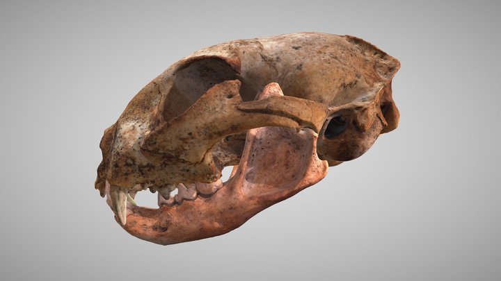BE18-48-135-142 3D Model