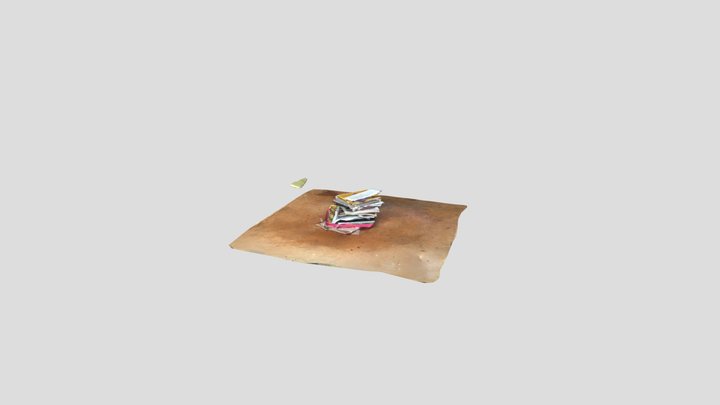 Pile #5 3D Model