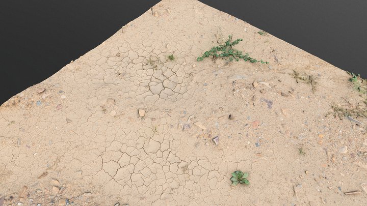 Drought dry soil desert puddle 3D Model