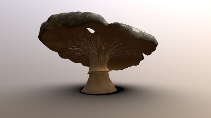 Mushroom - Boletus kind - MidPoly 3D Model