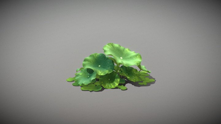 Small Lotus Leaf Cluster _Tt – Kostenloses 3D-Modell STL