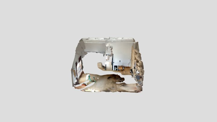 Polycam capture 3D Model