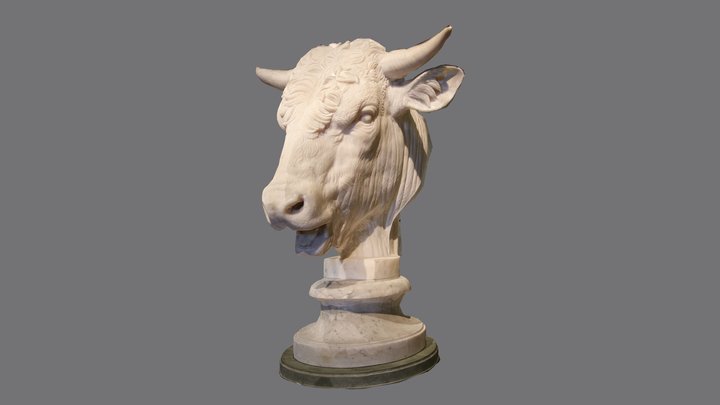 Head of a Bull 3D Model