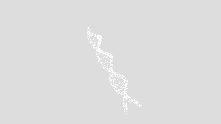 DHBW DNA 3D Model