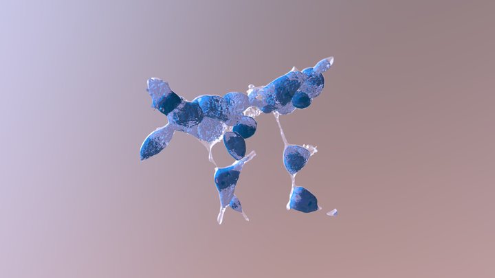 Prostate Cancer Cells 3D Model