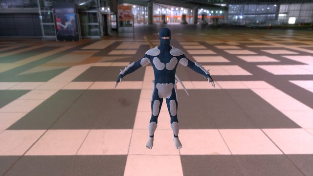 ninja 3D Model