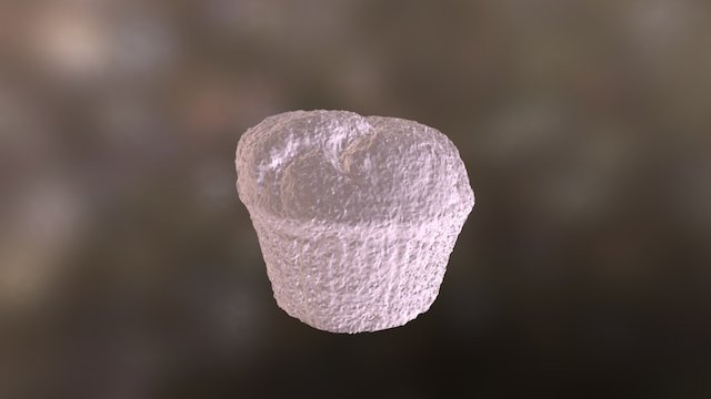 Plain Muffin 3D Model