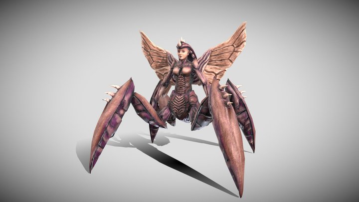 Qua D. Aracne 3D Model