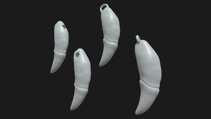 Wolf Fang Pendant (4 versions) - 3D print ready 3D Model