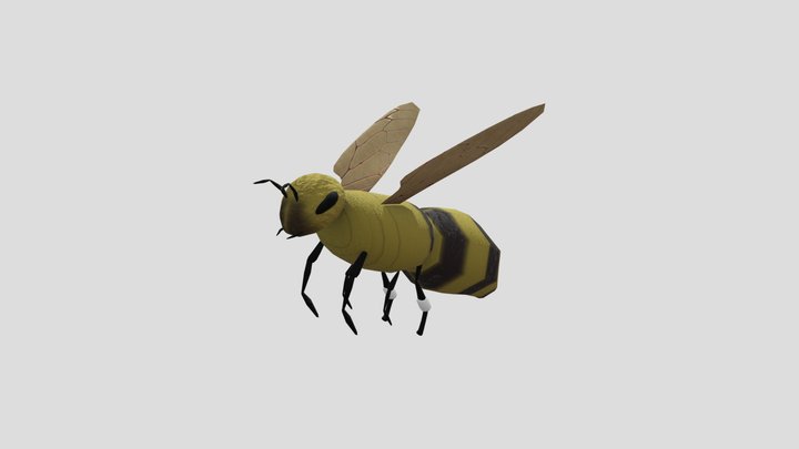 Basic Bee animated 3D Model