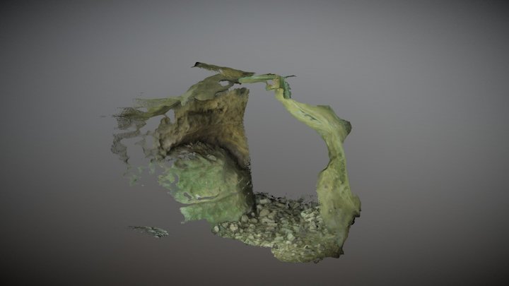 Roadside cave scan 3D Model